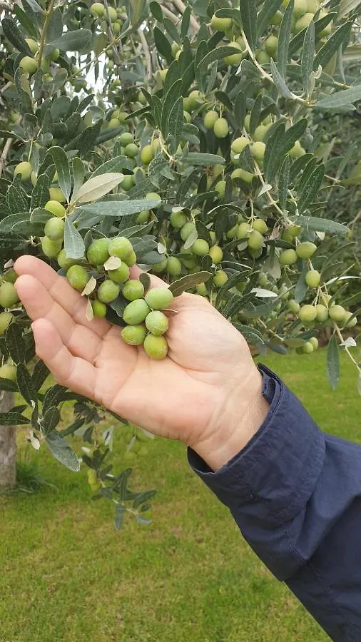 Suite La Torretta - Ca' Del Volo Grezzana